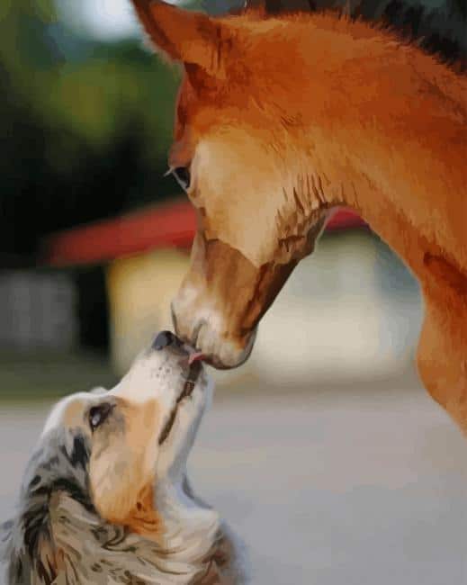 Dog Kissing Horse paint by numbers