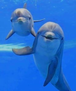 Dolphins Paying paint by numbers