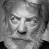 Donald Sutherland Beard paint by numbers