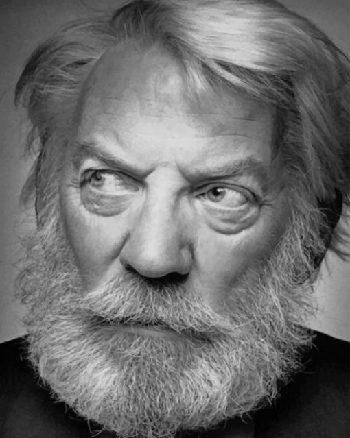 Donald Sutherland Beard paint by numbers
