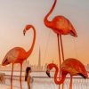 Dubai Flamingo paint by numbers