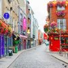 Dublin city painting by numbers