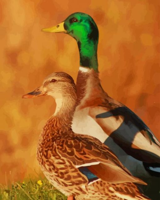 Duck Couple paint by numbers