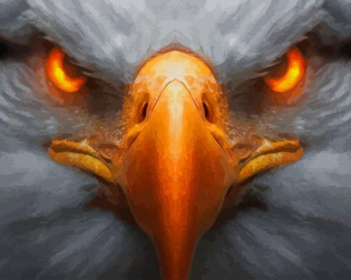 Eagle Glowing Eyes paint by number