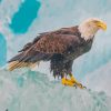 Eagle In Snow paint by number