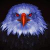 Eagle Raptor Eyes paint by number