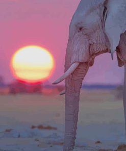 Elephant With Sunset paint by numbers