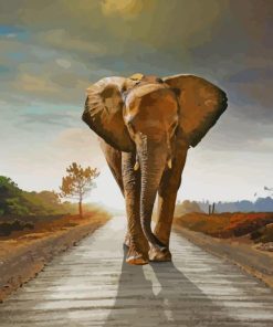 Elephant Walking On The Road paint by number