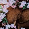 Elephant With Velvet Flowers paint by numbers