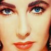 Elizabeth Taylor Paint By Numbers