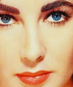 Elizabeth Taylor Paint By Numbers