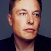 Elon Musk Paint By Numbers