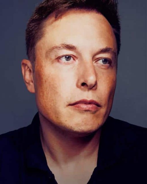Elon Musk Paint By Numbers