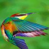 European Bee Eater Bird paint by numbers