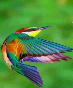 European Bee Eater Bird paint by numbers