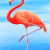 Flamingo animal painting by numbers