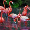 Flamingo Birds In The Water paint by numbers