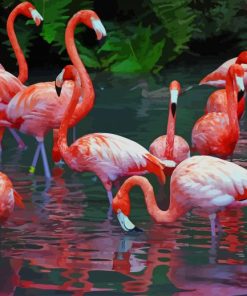 Flamingo Birds In The Water paint by numbers