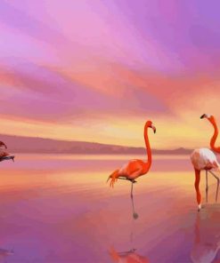 Flamingo Birds paint by number