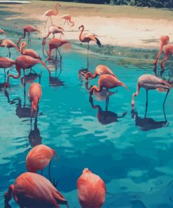 Flamingo Birds Flock paint by numbers