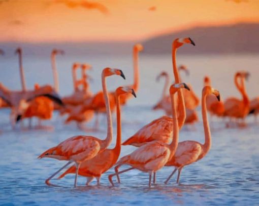 Flamingo Flock In Water paint by numbers