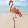 Flamingo on The Beach paint by numbers