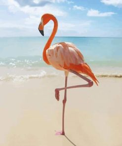 Flamingo on The Beach paint by numbers