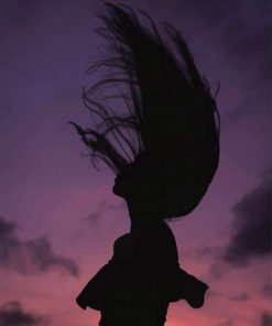 flicking hair silhouette paint by number