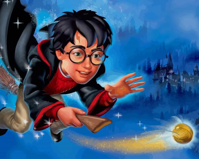 Flying Harry Potter paint by numbers