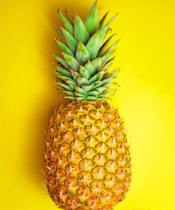 Simple Ananas Fruit paint by numbers