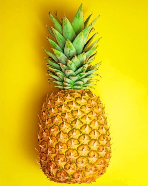 Simple Ananas Fruit paint by numbers