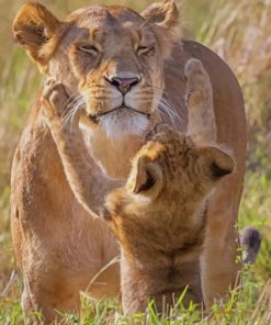 Funny Lioness With Baby paint by numbers