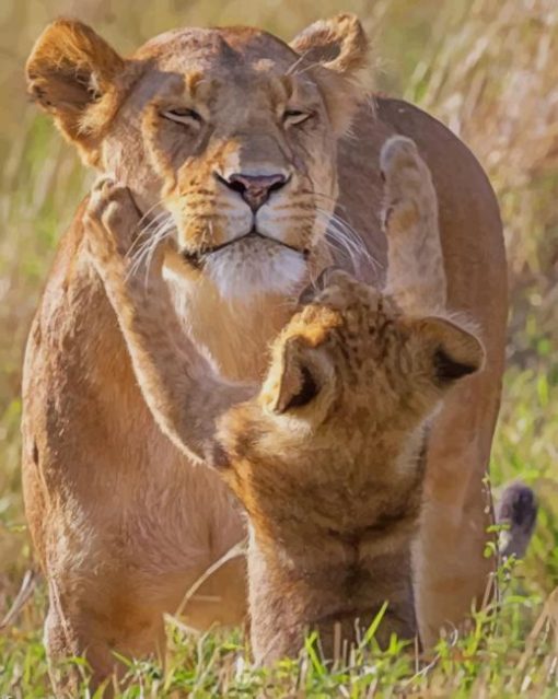 Funny Lioness With Baby paint by numbers