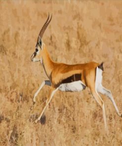 Gazelle Running paint by numbers