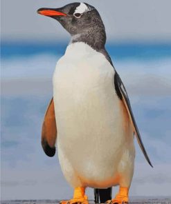 Gentoo Penguin paint by number