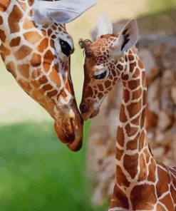 Giraffe With Her Baby paint by numbers