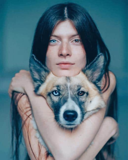 Girl Dog With Heterochromia Paint By Numbers