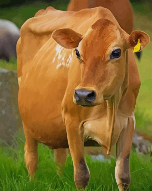 Golden Cow paint by numbers