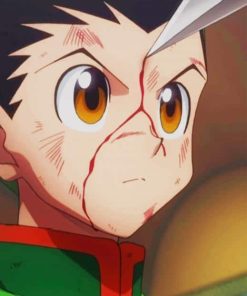Gon Freecss Hunter X Hunterpaint by numbers