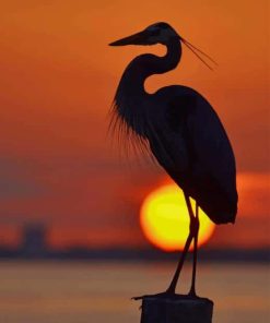 Great Blue Heron Sunrise paint by numbers