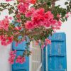 Greece Pink Flowers paint by numbers