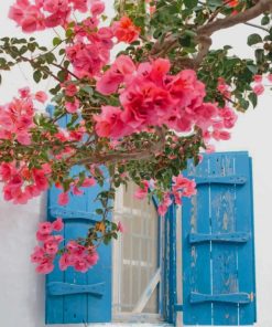 Greece Pink Flowers paint by numbers