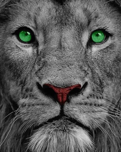 lion with green eyes painting with numbers