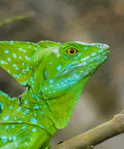 Green Lizard paint by numbers