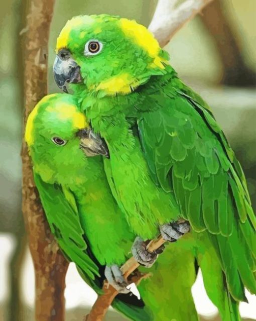 Green Parrot Couple paint by numbers
