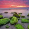 Green Stones Sunset View paint by number