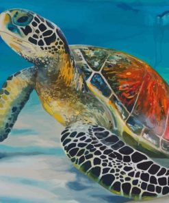 Sea Turtle In Water paint by numbers