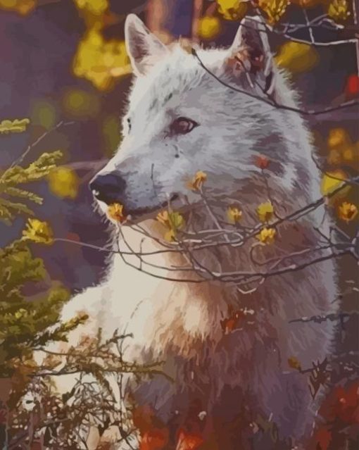 Grey Wolf In Forest paint by numbers