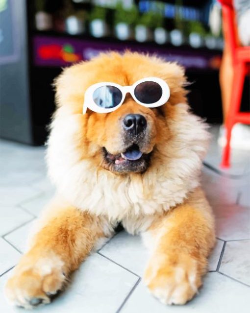 Hairy Dog With Sun Glasses paint by numbers