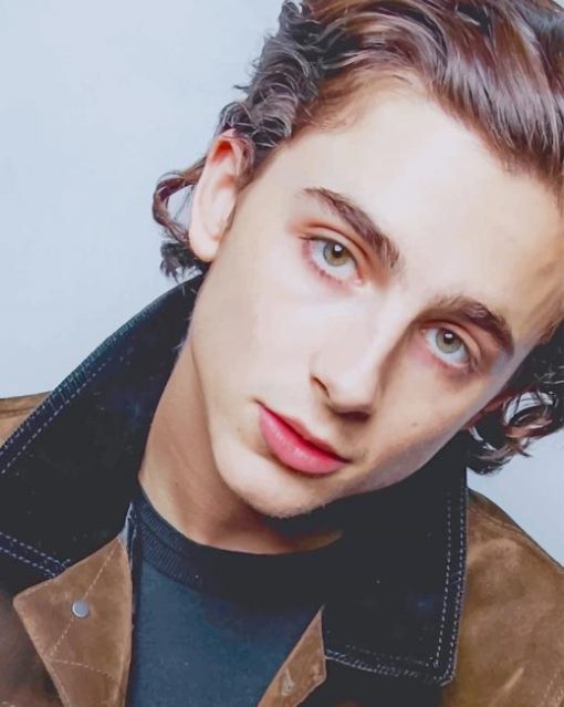 Handsome Timothée Chalamet paint By Numbers